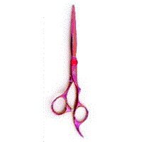 Professional Hair dressing Scissor