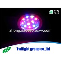 High Power Par38 led spot Light 12w CHRISTMAS HOT SALE