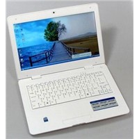 13.3 inch Laptop computer with dual core CPU, 4Gb RAM, 500Gb HDD
