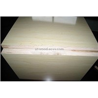 24(23.5)mm poplar core Chinese plywood green timber