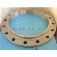 Alloy 20 Flange