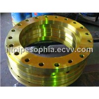 Alloy 800H Flange