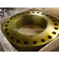 Alloy 800 Flange