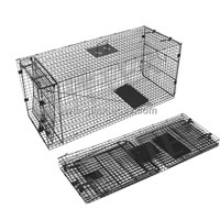 Collapsible fox trap for hunting