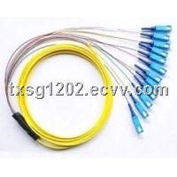 Fifer Optic Pigtail SM 12 CORES
