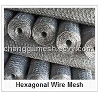 Hexagonal Wire Mesh