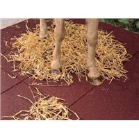 Horse Rubber Flooring Mat