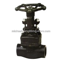 S.S / C.S  Forged Steel Gate Valve