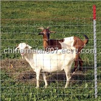 Sheep Wire Mesh Fence (SGS Certificated Factory)