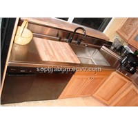 Stainless Steel Countertop with built in sink