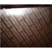 commercial plywood ,film faced plywood,logo film faced plywood , with cheap price