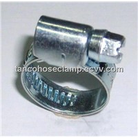 hose clamp