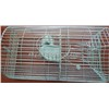 animal cage /bird cage  /wire mesh container (direct factory)
