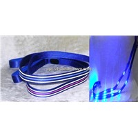 Hot LED Dog Leash & Collar
