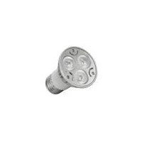 3W,led par light