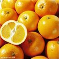 Best quality Grapefruit Seed Extract 45%-65%