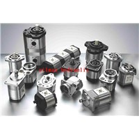 Bosch-rexroth Hydraulic gear pump/charge pump