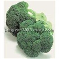 Broccoli Seed extract