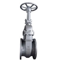 Cast Steel API Gate Valve