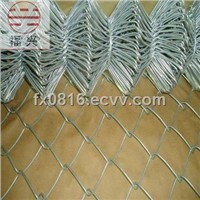 Chain link fence