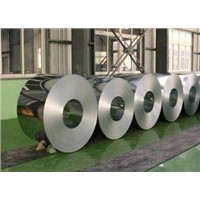 DX51 EN 10147 Hot Dip Galvanized Steel Coil Roll for Industrial Freezers