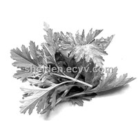 Folium Artemisiae Argyi P.E.