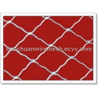 Galvanized guarding mesh with high quality (Factory)