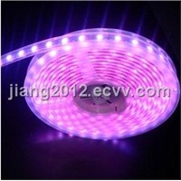 Good quality,5M Pink 3528 SMD 300p LED Strip light 12V,Silica gel tube waterproof