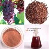 Grape seed Extract 95%,98%Polyphenol, 95%,98%Proanthocyanidin