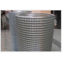 Hot sales stainless steel welded wire mesh