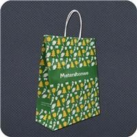 Kraft Paper Bag With Twist Handle