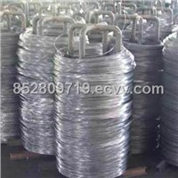Low price electro galvanized wire (factory)