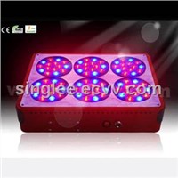 No.6 Apollo LED grow light