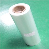 PET film