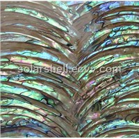 Paua shell wall paper ,shell venner