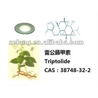 Plant Extract Triptolide 98% C20H24O6 CAS:38748-32-2