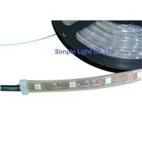 Silicone tube Flexible LED Strip