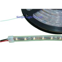 Silicone tube Flexible LED Strip