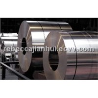 Stainless Steel Coils Strips AISI 304 304L 316 316L