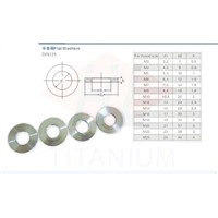 Titanium Washers