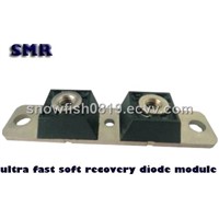 Ultra-Fast Soft Recovery Diode Module