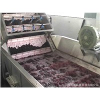 blueberry sauce, blueberry juice processing line equipment