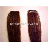 horse forelocks for sale