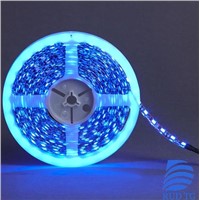 led strips 3528 blue low energy