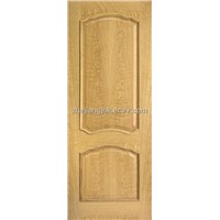EV-Door Skin