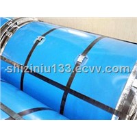 Pre-painted galvanized steel coil/plate