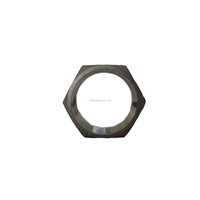 Stainless Steel Pipe HEX Nut