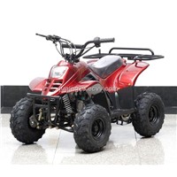 ATV 110cc  (LZ110-2) EEC, EPA