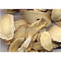 Astragalus root extract with high quality