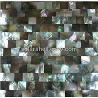 Blacklip mother of pearl shell wall panel in block style